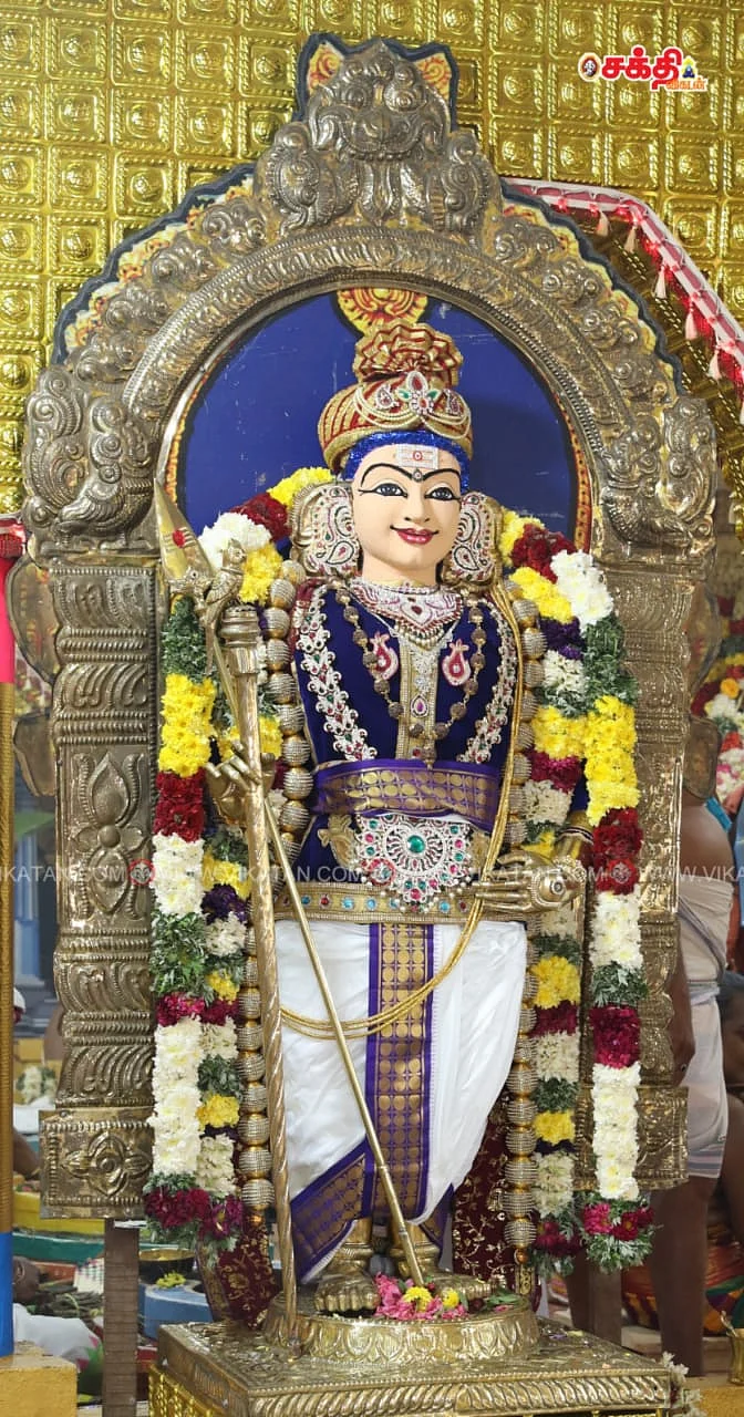 பழநி முருகனின் ராஜ அலங்காரம்