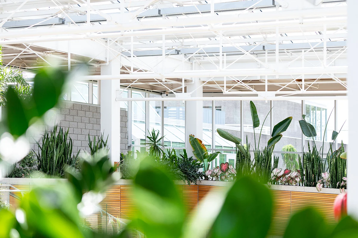Royal Botanical Gardens