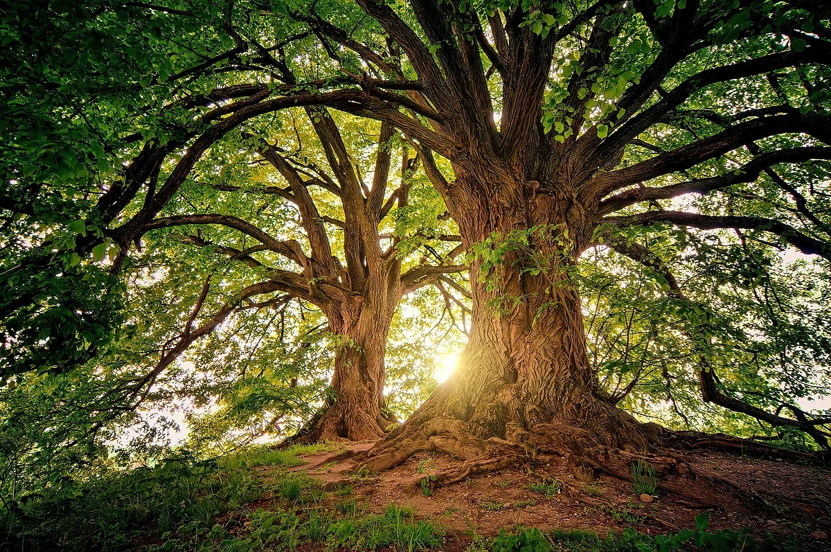 Representational Image