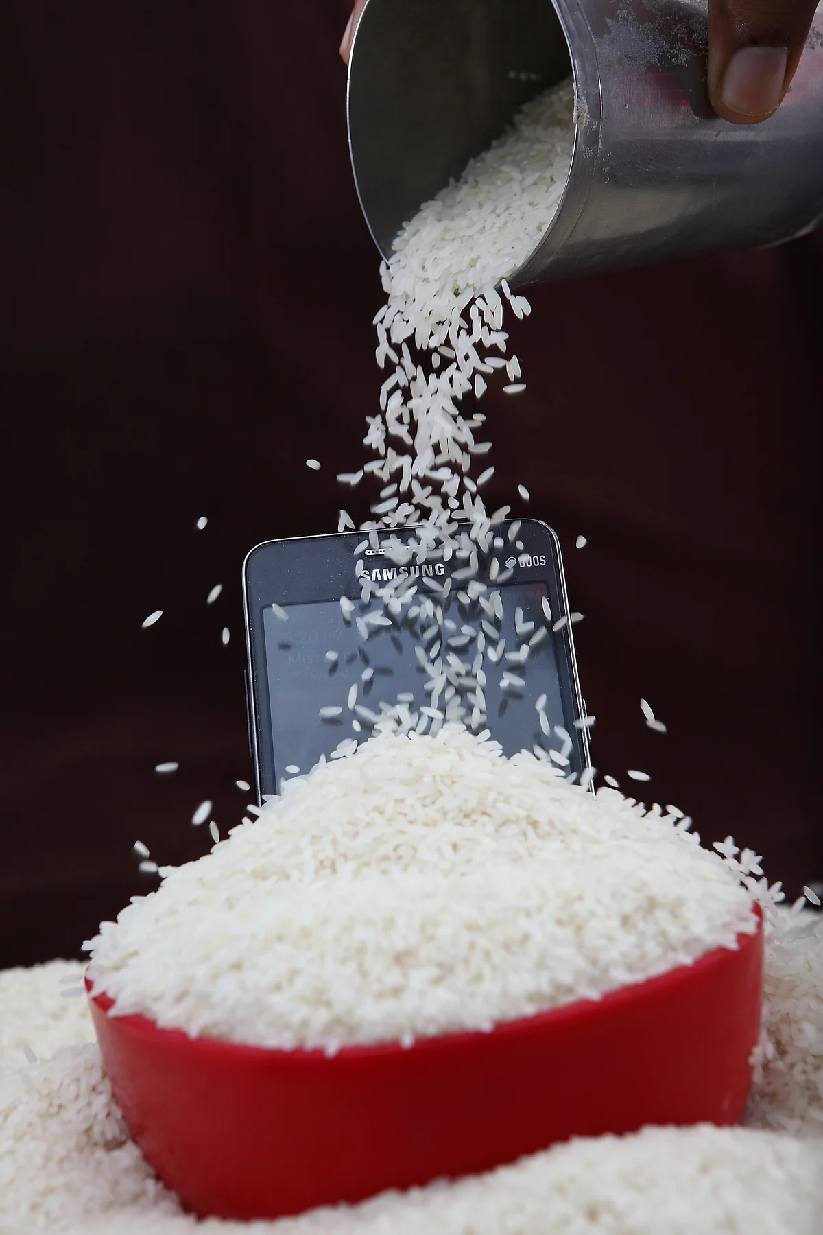 Rice
