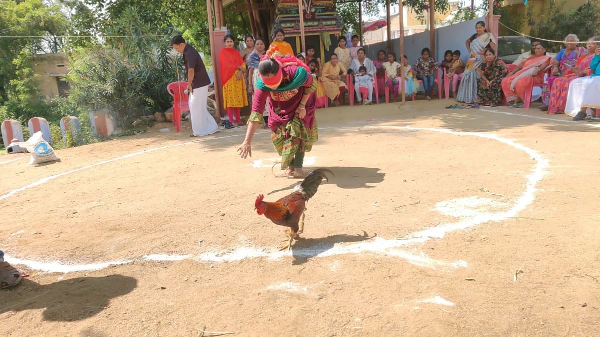 கோழி பிடிக்கும் பெண்