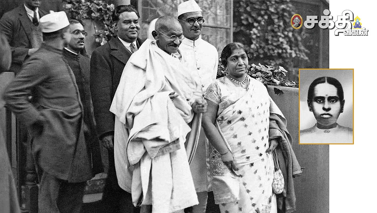 துளித்துளிக் கடல்கள்