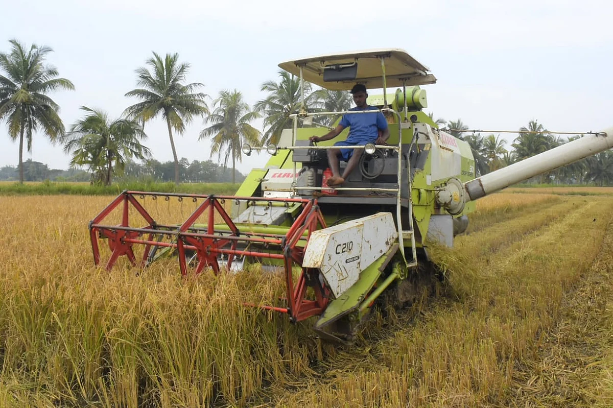 இயந்திரம் பற்றாக்குறையால் நெல் அறுவடை மந்தம்