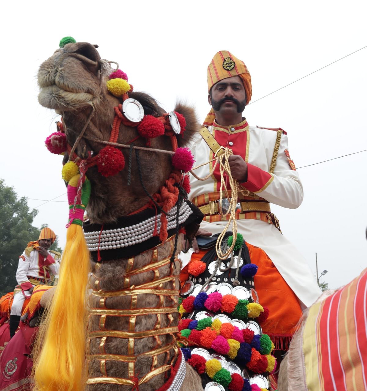 ராஜஸ்தான் ஒட்டகத் திருவிழா; சுவாரஸ்ய காட்சிகள்! | #PhotoAlbum