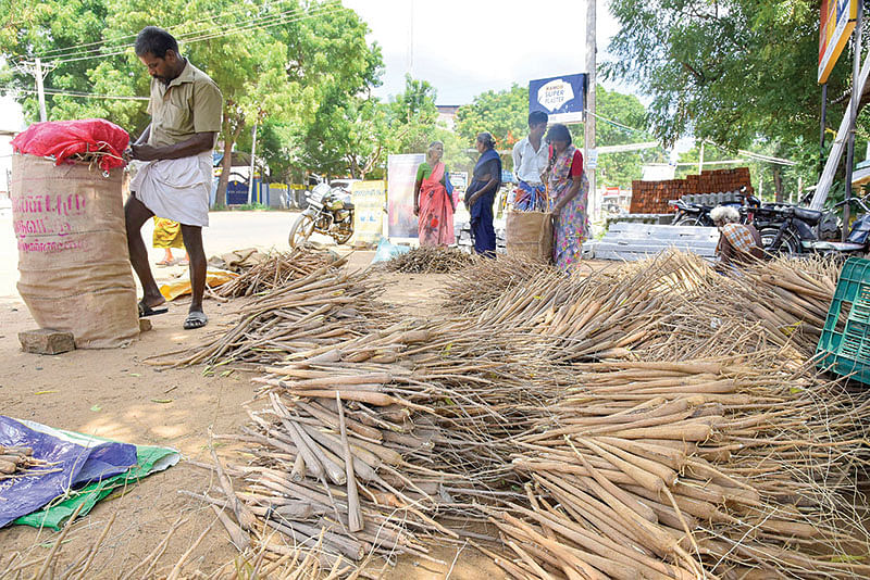 பனங்கிழங்கு உற்பத்தி