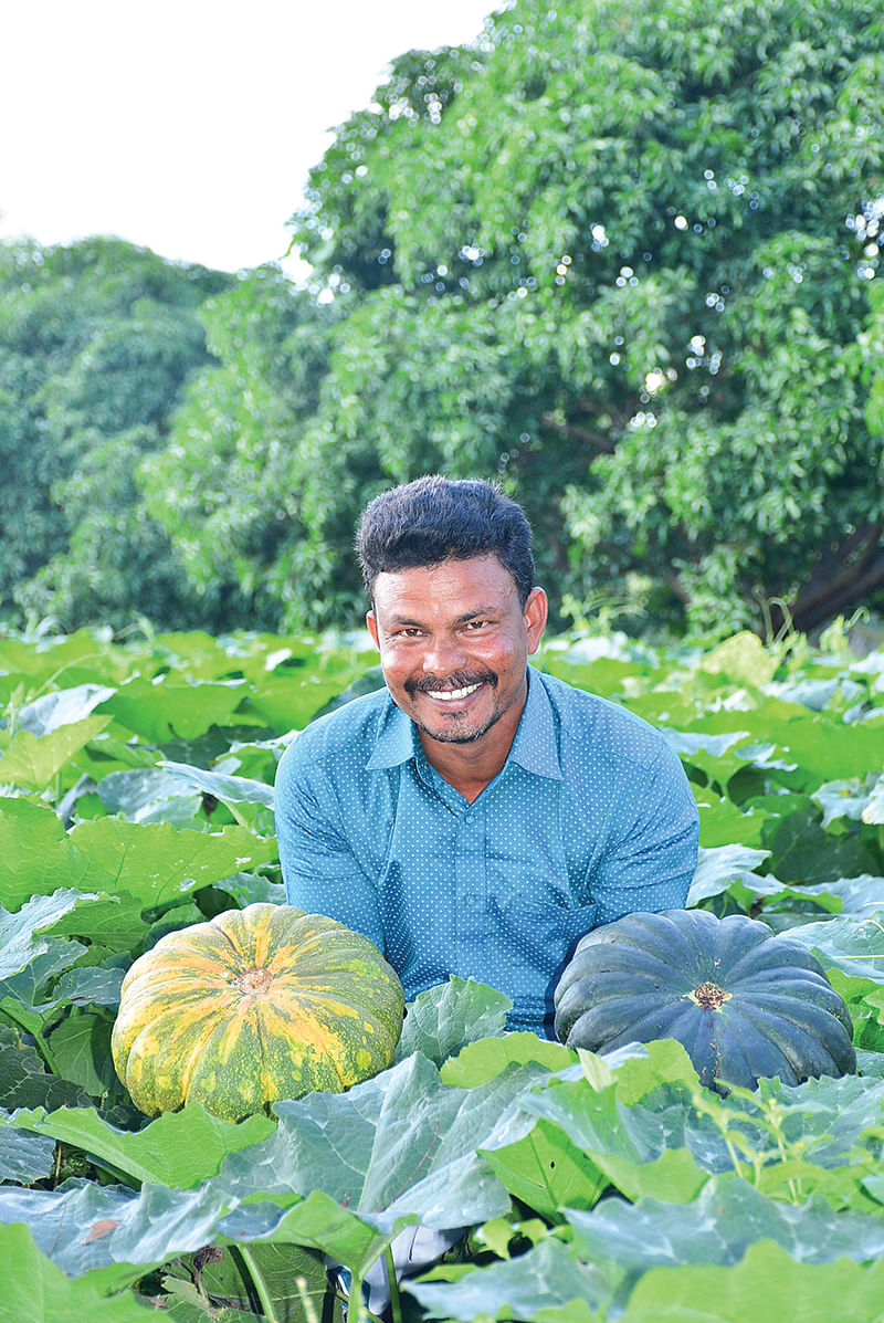 மஞ்சள் பூசணியுடன் ராஜமாணிக்கம்