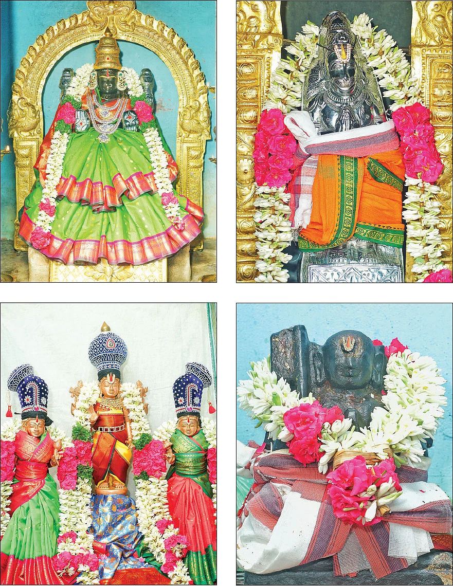 அள்ளித்தரும் அட்சய
வரதர்!