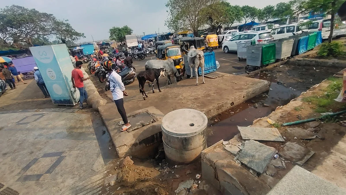 மெரினா