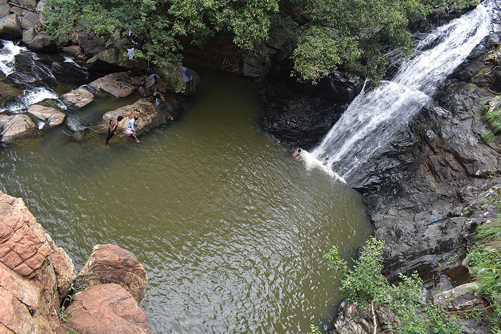 கோரையாறு அருவி