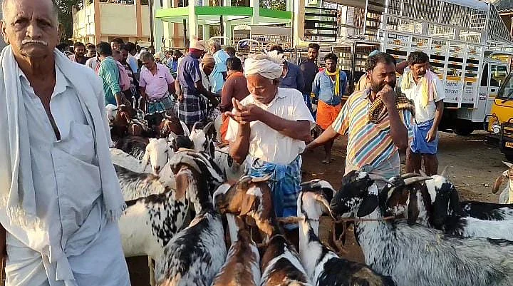 ஆட்டுச் சந்தை