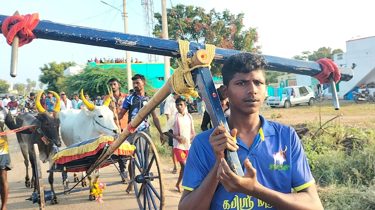மாட்டுவண்டியை இழுத்துச் செல்லும் சிறுவன்