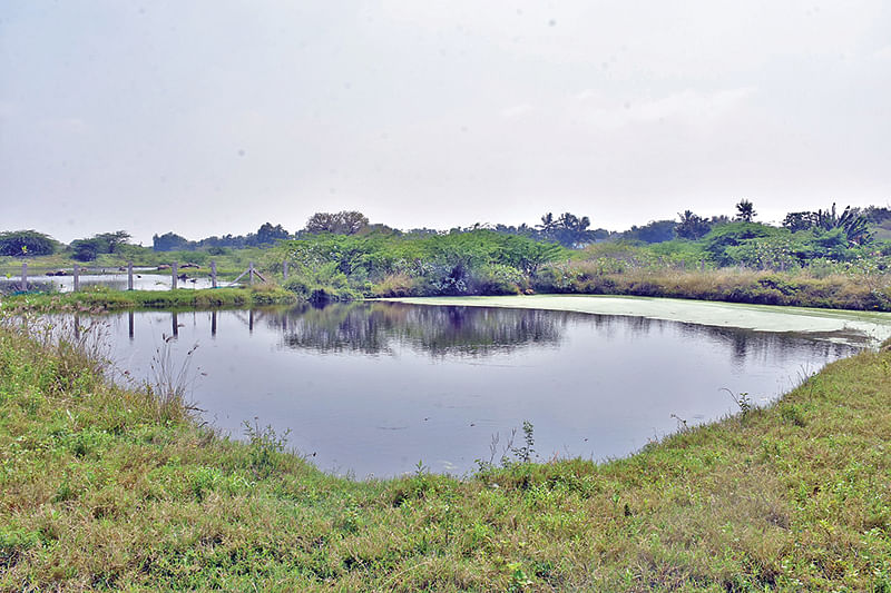குளம்