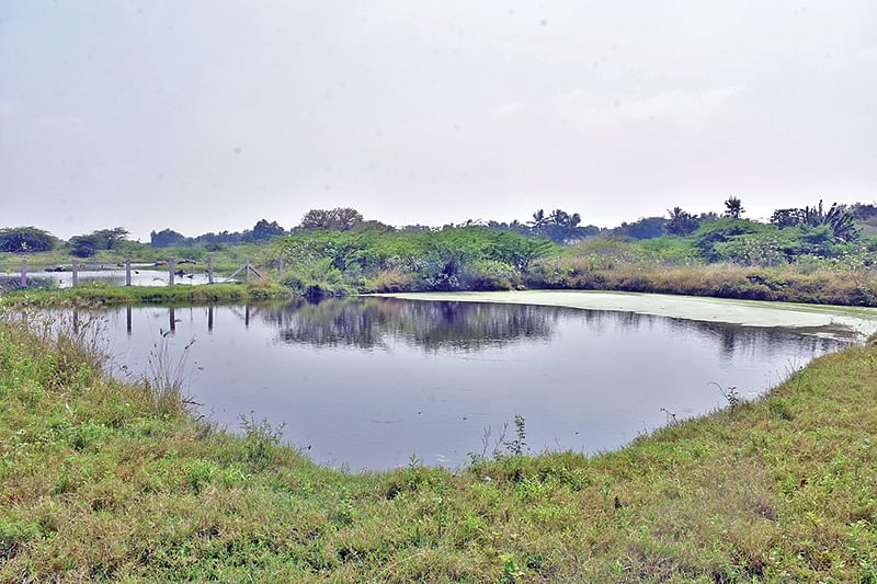 குளம்