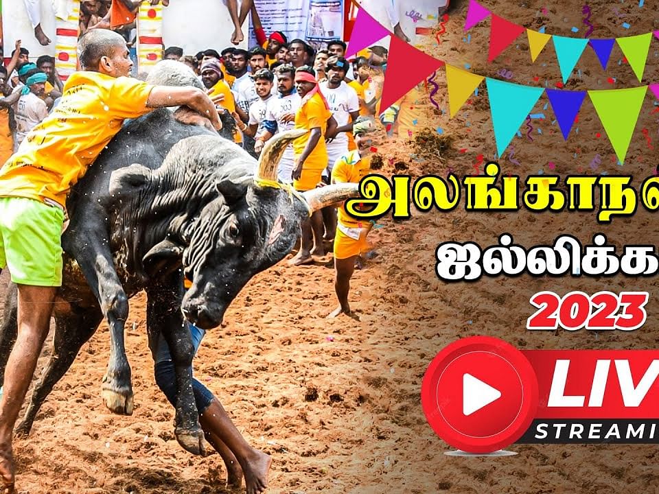 உலகப்புகழ் பெற்ற அலங்காநல்லூர் ஜல்லிக்கட்டு போட்டி LIVE