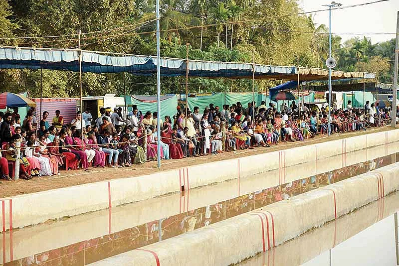 பார்வையாளர்கள்