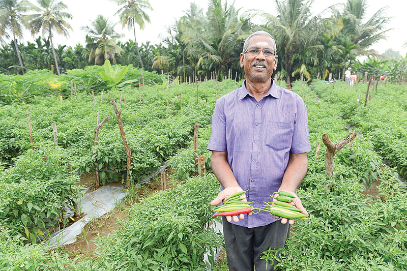 மிளகாய்களுடன் விஸ்வநாதன்