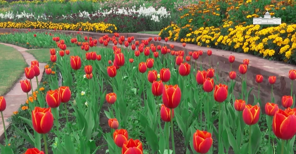 ஜனாதிபதி மாளிகையிலுள்ள முகலாய தோட்டம், `அம்ரித் உத்யான' எனப் பெயர்மாற்றம்!