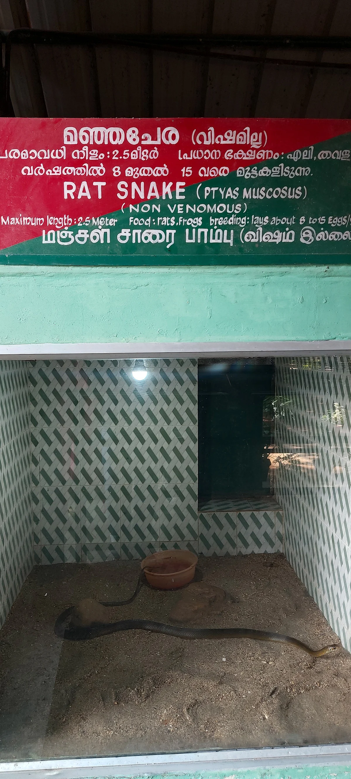 மலம்புழா பாம்புகள் மீட்பு மற்றும் பாதுகாப்பு மையம்