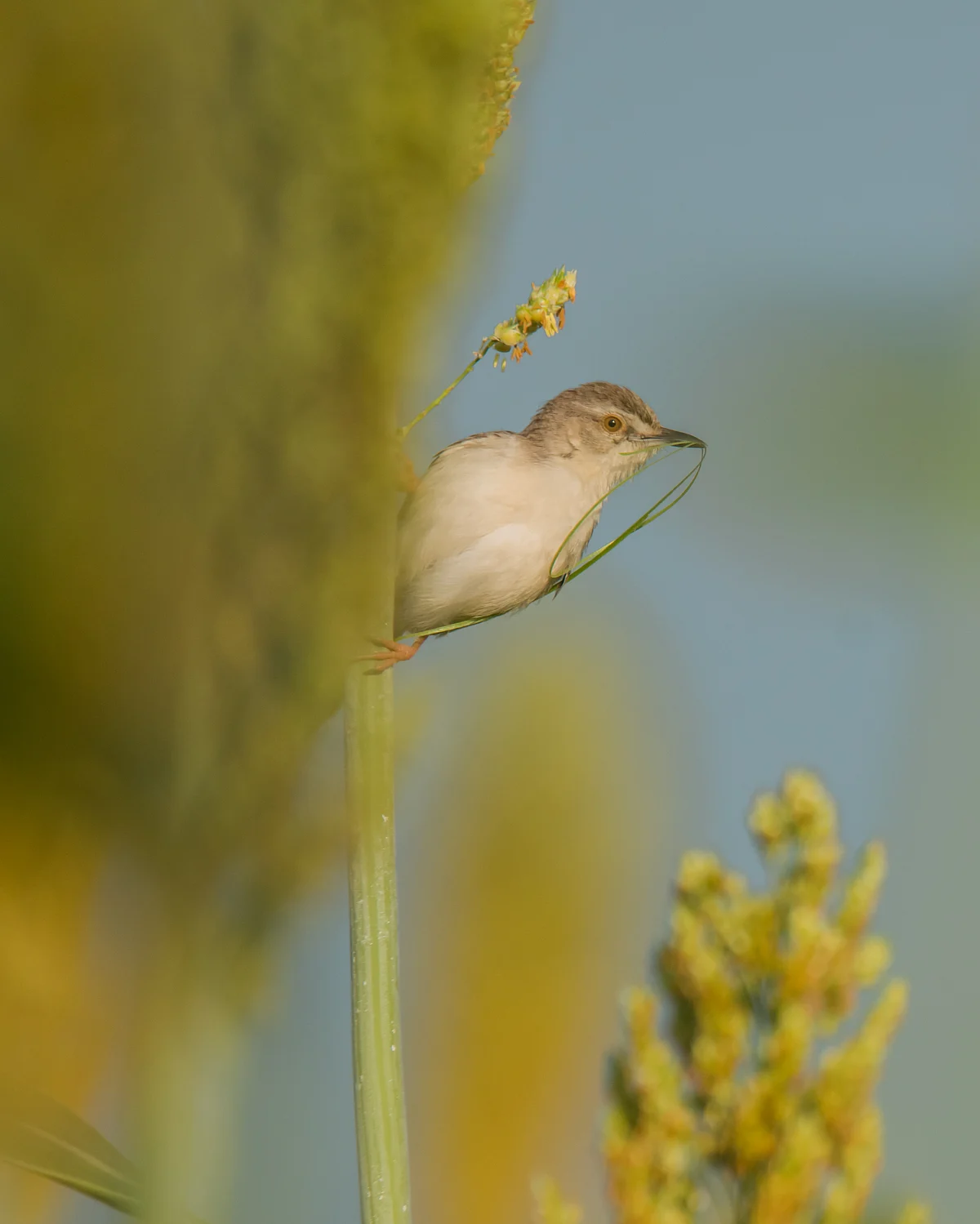 Nature photography