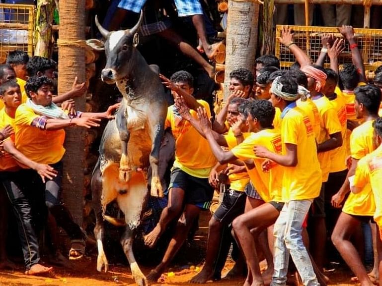புதுக்கோட்டை: தமிழகத்தின் முதல் ஜல்லிக்கட்டு நிறுத்தம்! - போராட்டத்தில் இறங்கிய பொதுமக்கள்