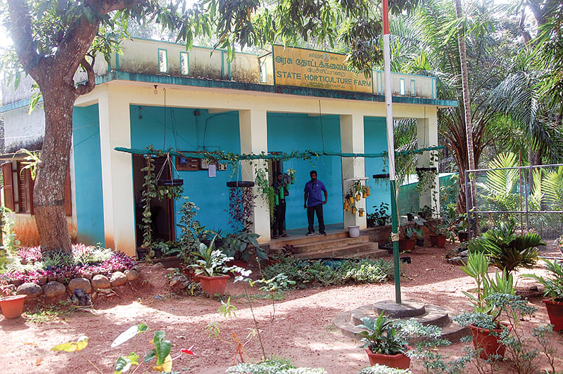 தோட்டக்கலை மையம்