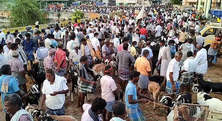 ஆட்டுச்சந்தை