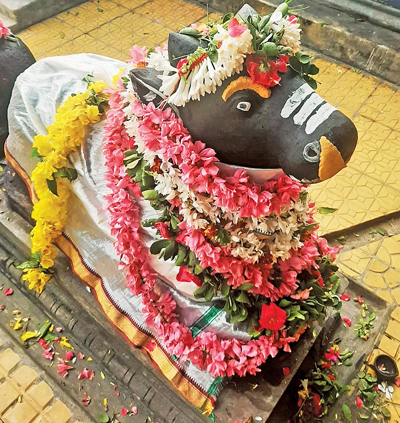 நந்தி