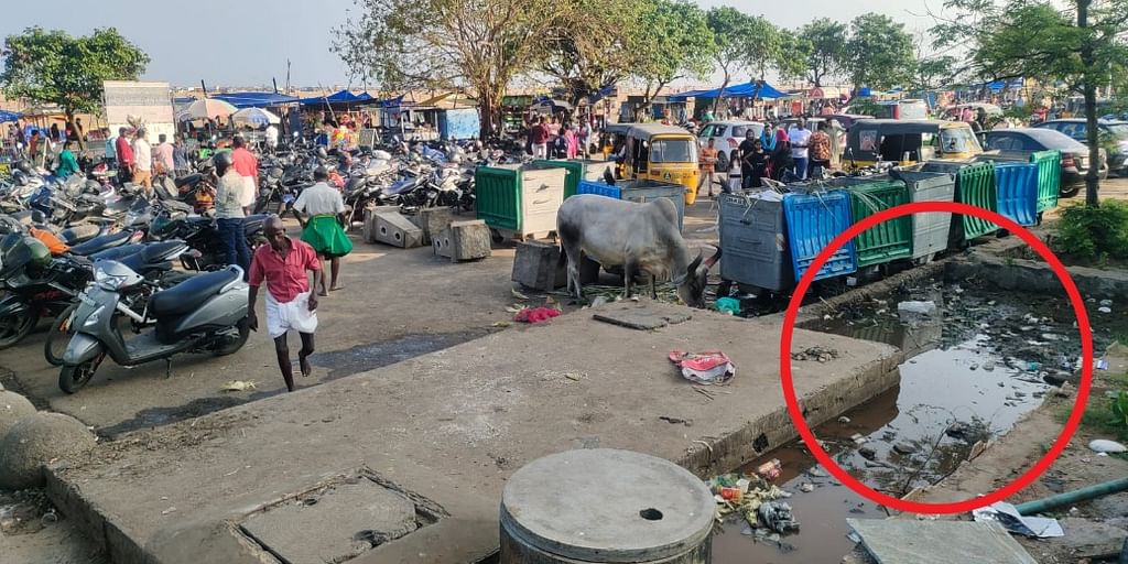 மெரினா