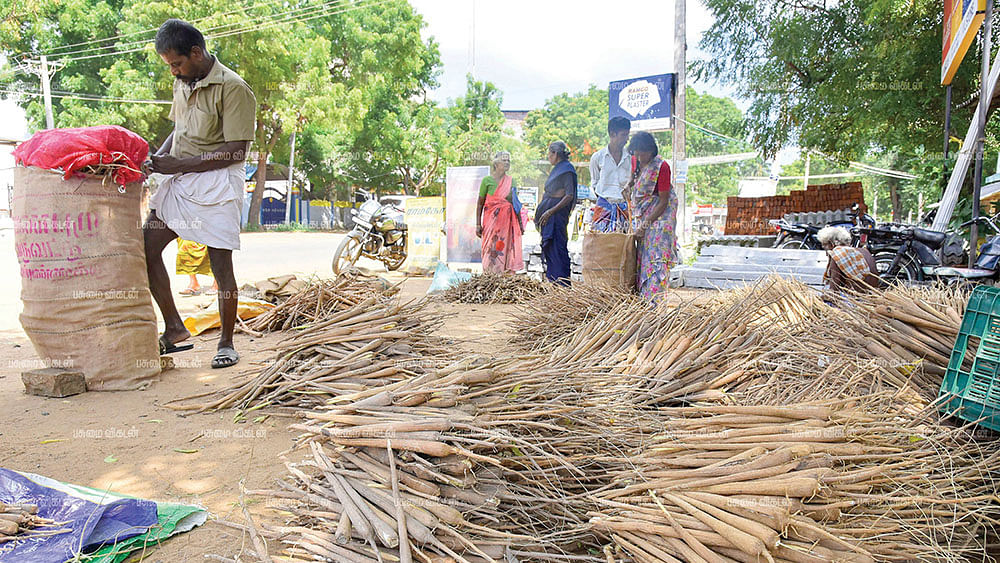 பனங்கிழங்கு உற்பத்தி