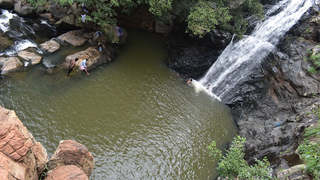 கோரையாறு அருவி