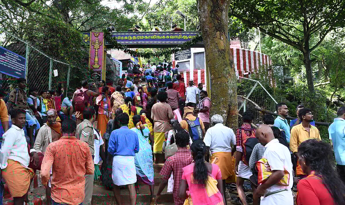 சதுரகிரி: தை அமாவாசை, பிரதோஷத்தையொட்டி கோயிலில் குவிந்த பக்தர்கள்!