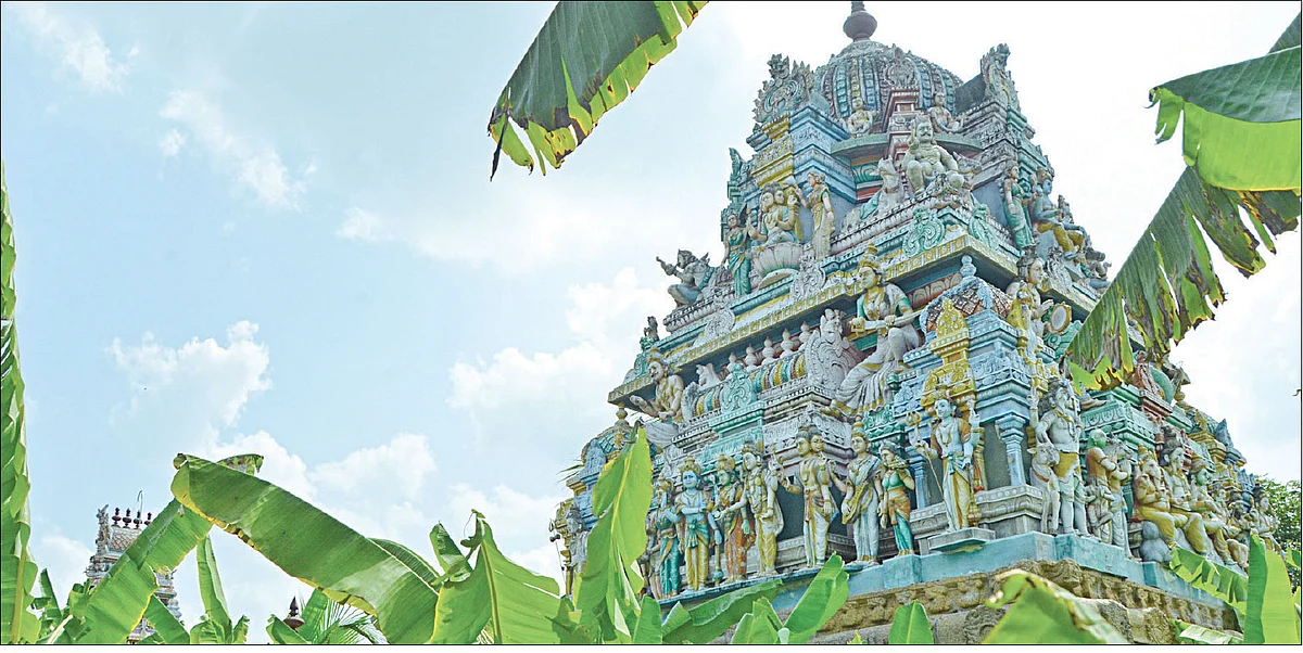 அதிசய வாழைகள்... நான்கு பிரார்த்தனைகள்!