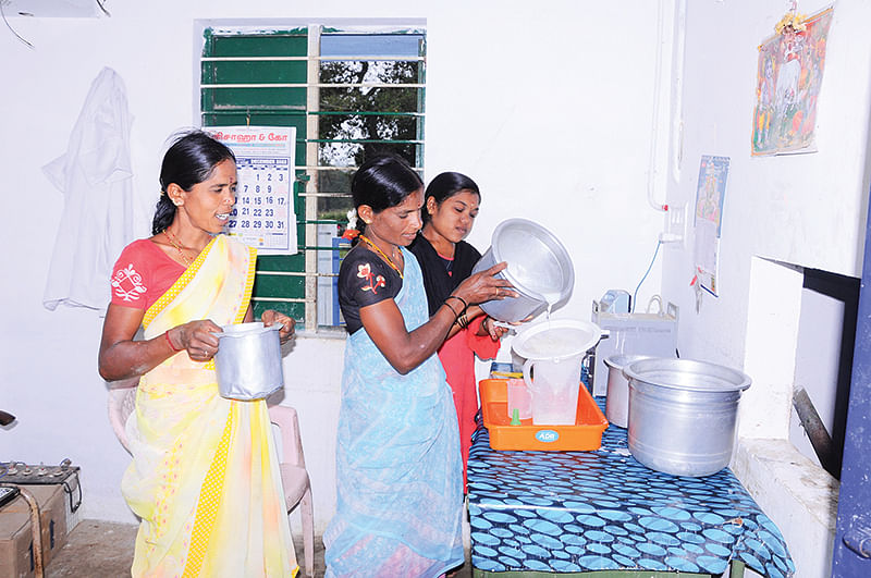 ஆராய்ச்சி மையத்தில் மாடுகள் பராமரிப்பில் பெண்கள்