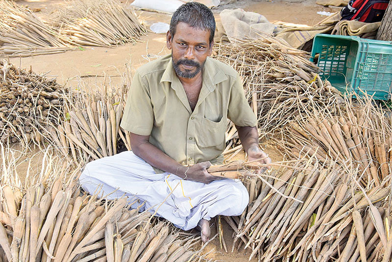 தர்மராஜ்