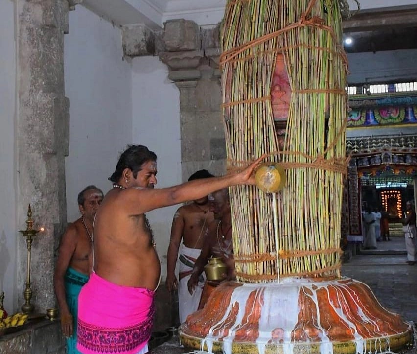 திருவாவடுதுறை ஆதீனப் பட்டணப் பிரவேசம்- ஜனவரி 28 -ல் தொடக்கம்!