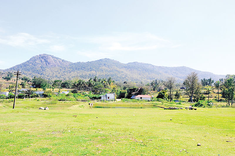 பர்கூர் மலை