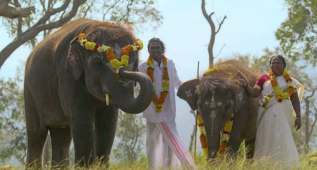 பொம்மன் - பெல்லி
