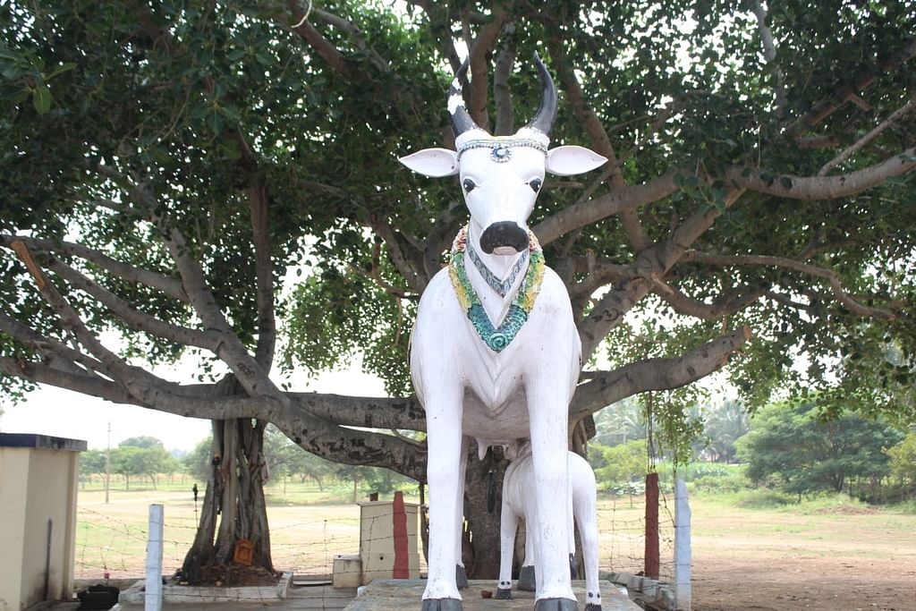 ஆல்கொண்டமால் கோயில்
