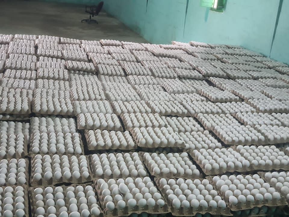 உலக அளவில் அதிகரிக்கும் முட்டை ஏற்றுமதி! நாமக்கலில் வரலாறு காணாத விலை உயர்வு!