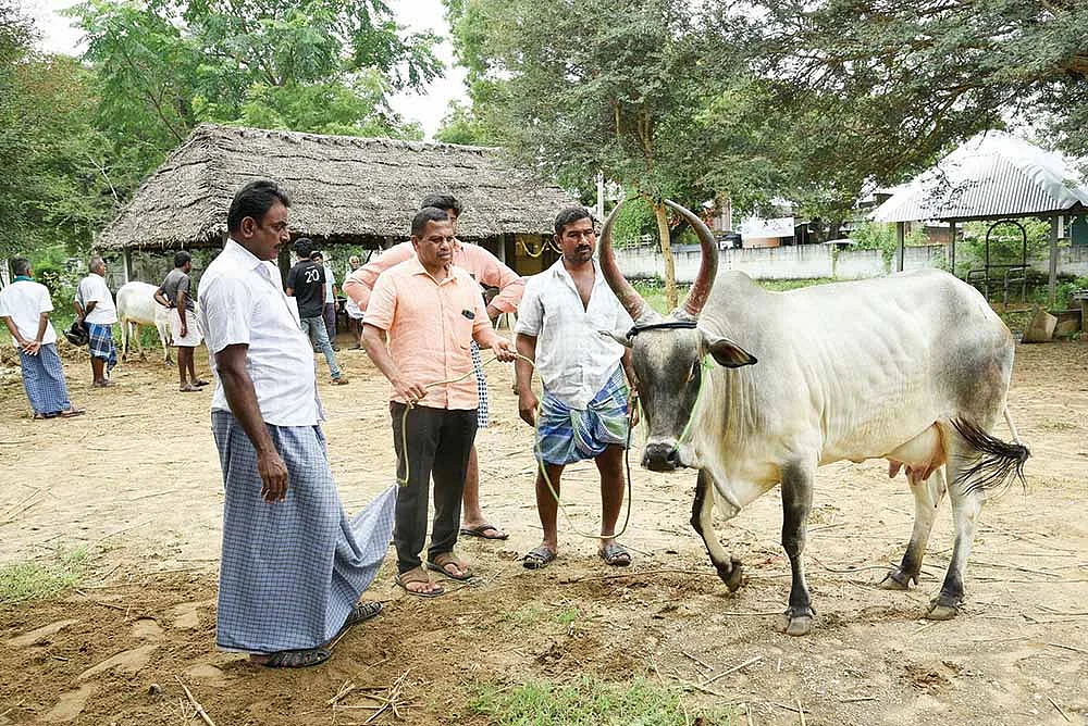 சந்தையில்