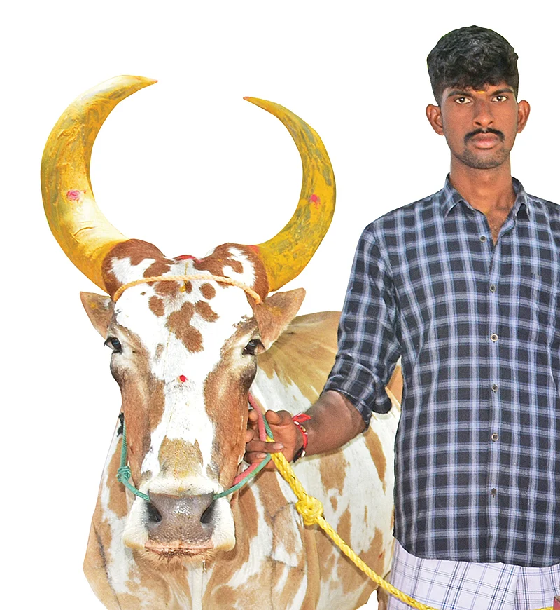 துரைப்பாண்டி