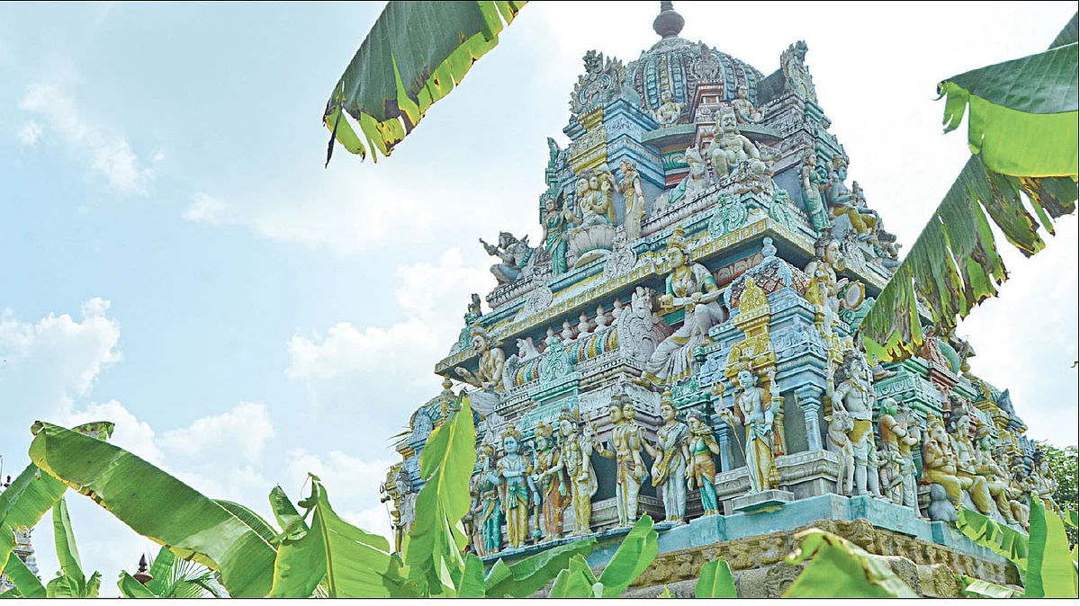 அதிசய வாழைகள்... நான்கு பிரார்த்தனைகள்!