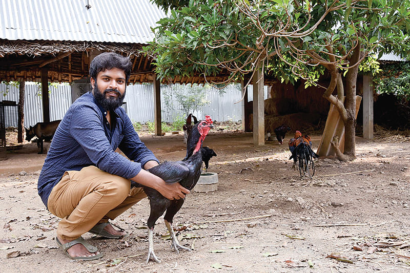 கோழிகளுடன்