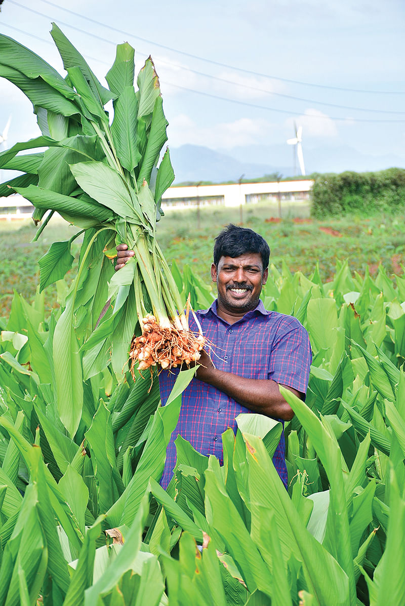 மஞ்சள் வயலில் சந்தனகுமார்