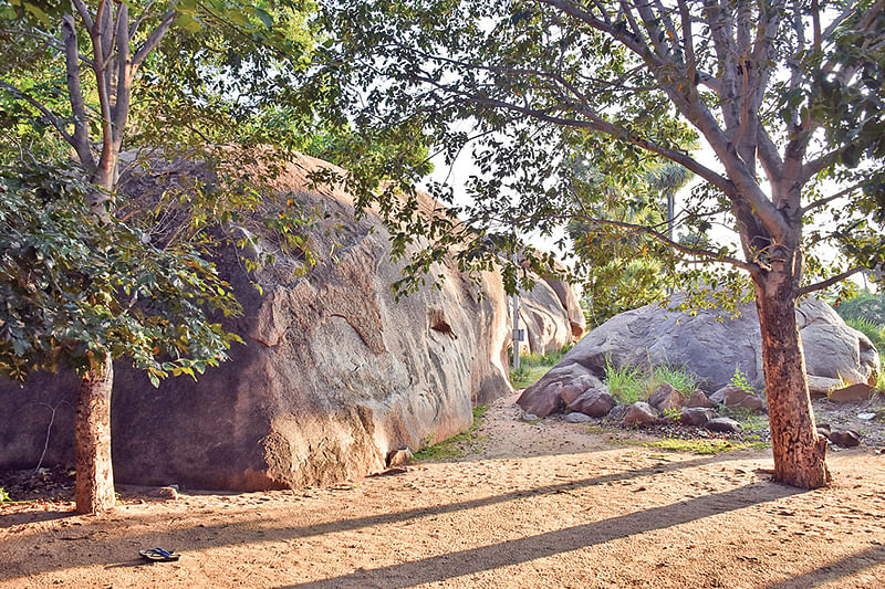 அரிட்டப்பட்டி பல்லுயிர் பாரம்பர்ய தலம்