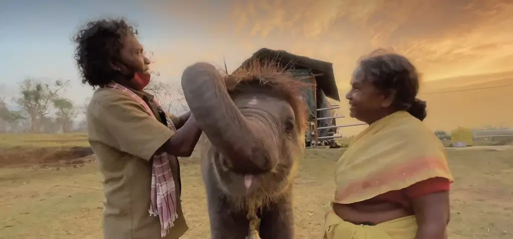 அம்முவுடன் பொம்மன் - பெல்லி