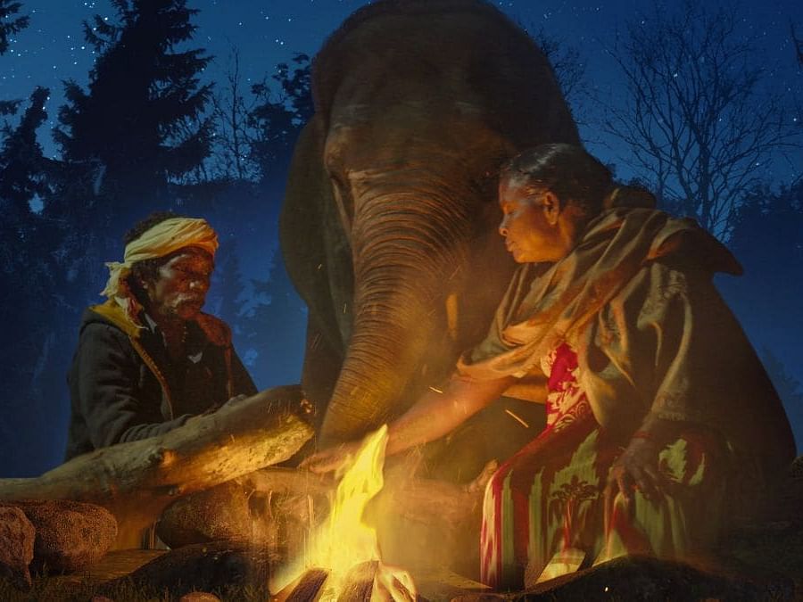 The Elephant Whisperers