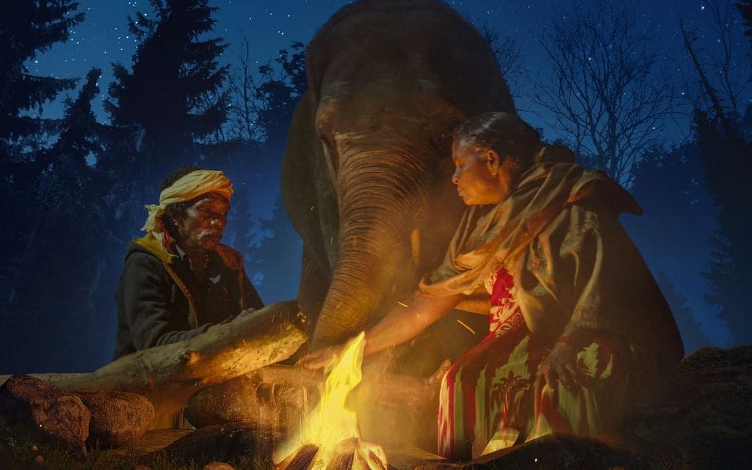 The Elephant Whisperers Review: ஆஸ்கர் வென்ற தமிழ் ஆவணக்குறும்படம்; இது க்யூட் யானைகளின் கதை!