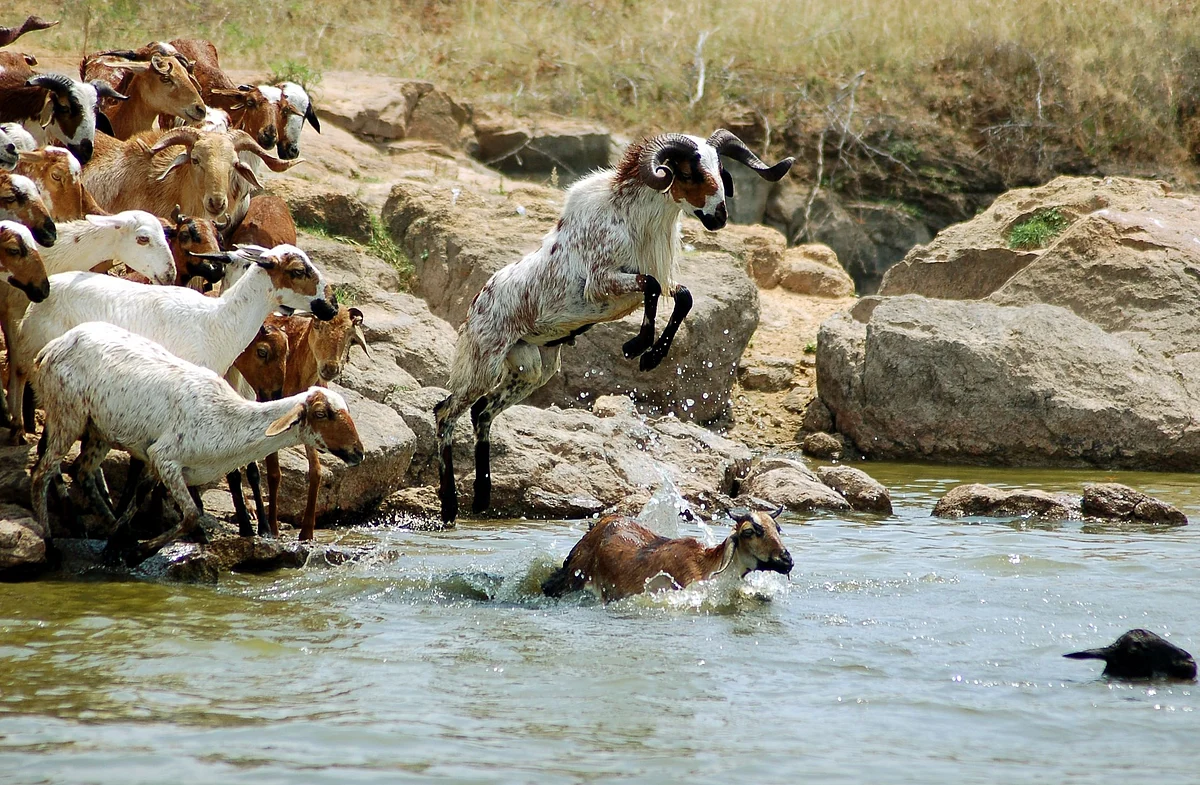 Representational Image