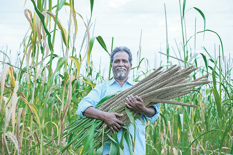 நீளமான ராஜஸ்தான் கம்புடன் நடராஜன்
